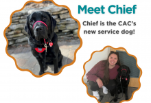 Meet Chief.  Chief is the new services dog a the CAC.  Picture of Chief and Samantha Dias.