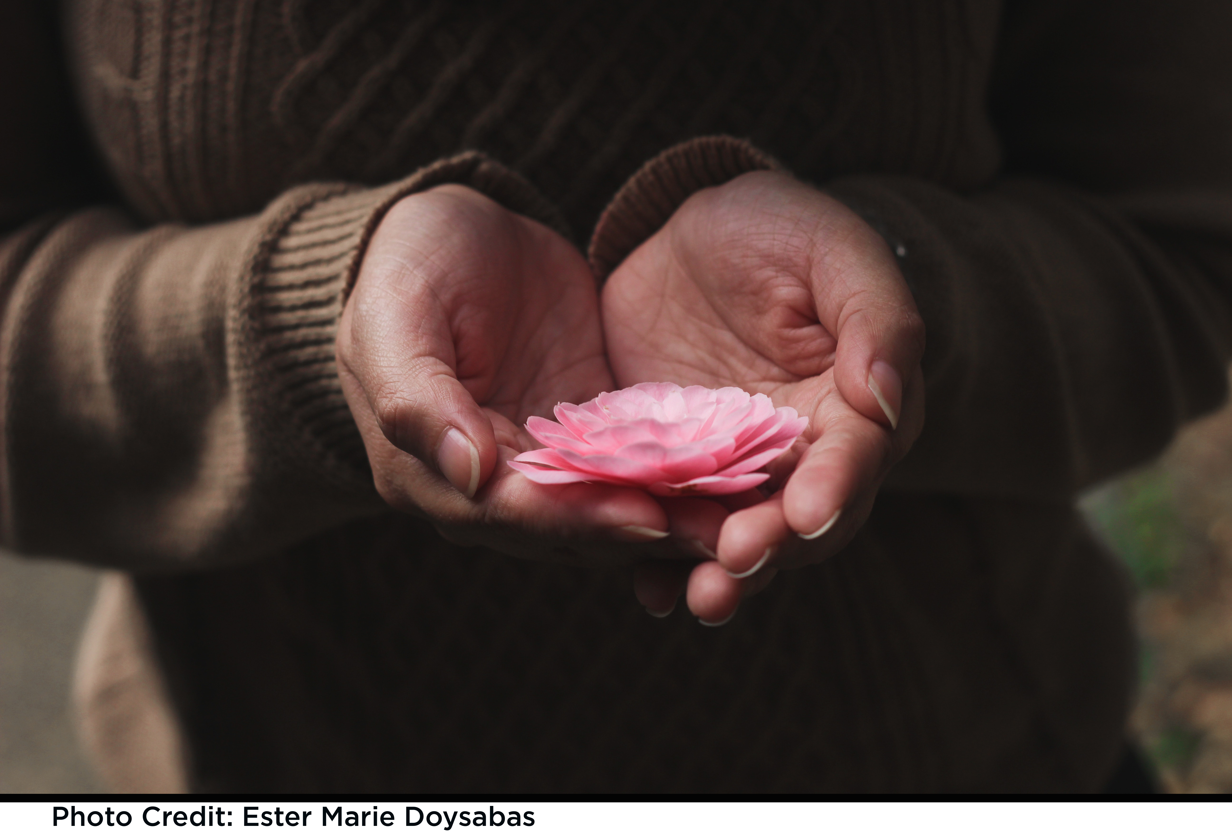 holding flower petals