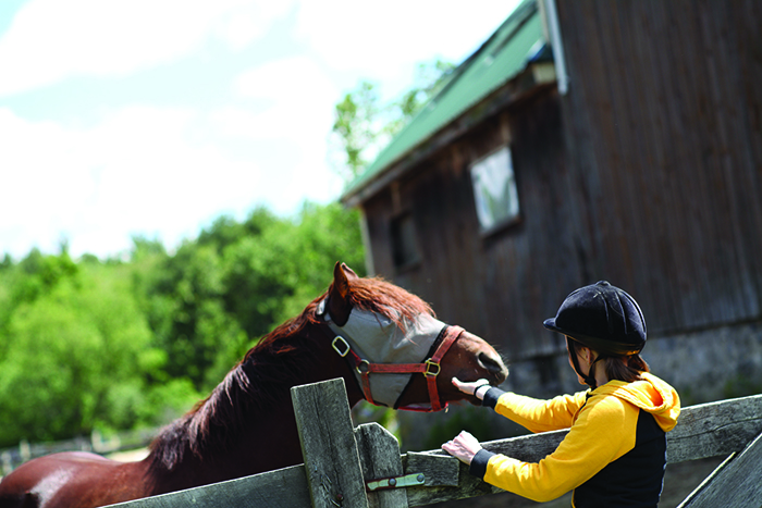 student and horse