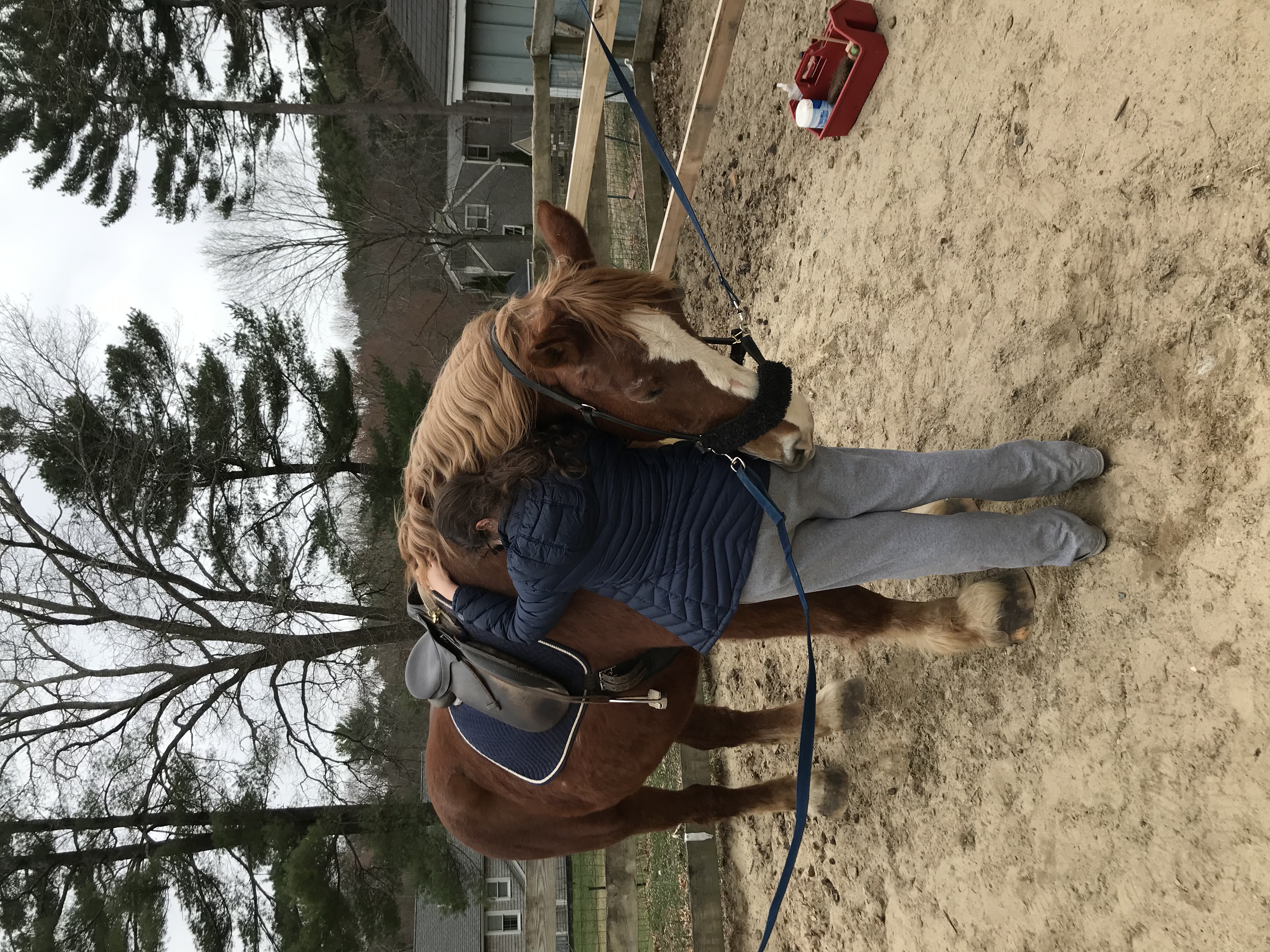 Young adult with blue jacket hugging horse