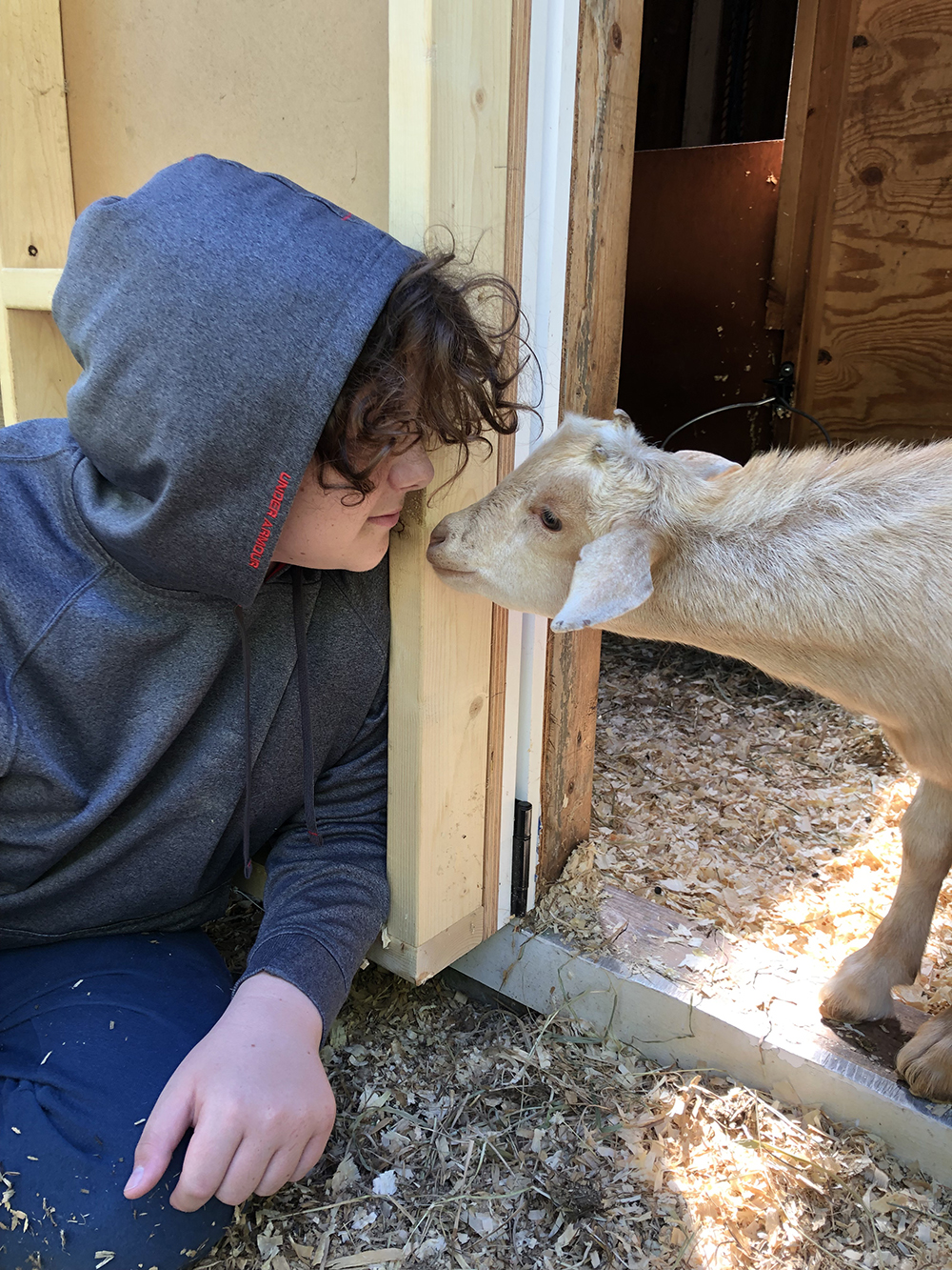 teen and goat nose to nose