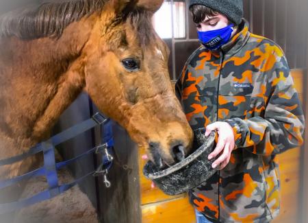 Boy in winter jacket feeding a horse