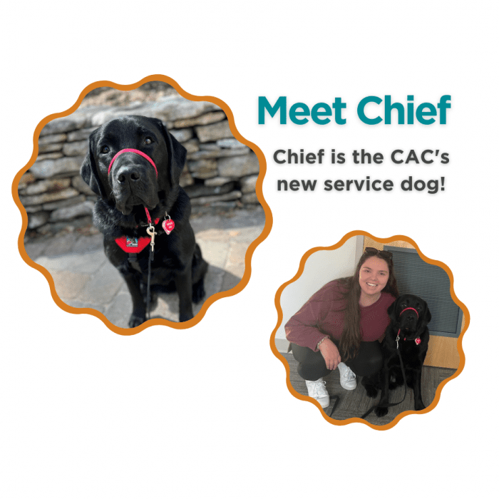 Black lab Chief featured as CAC’s new service dog.