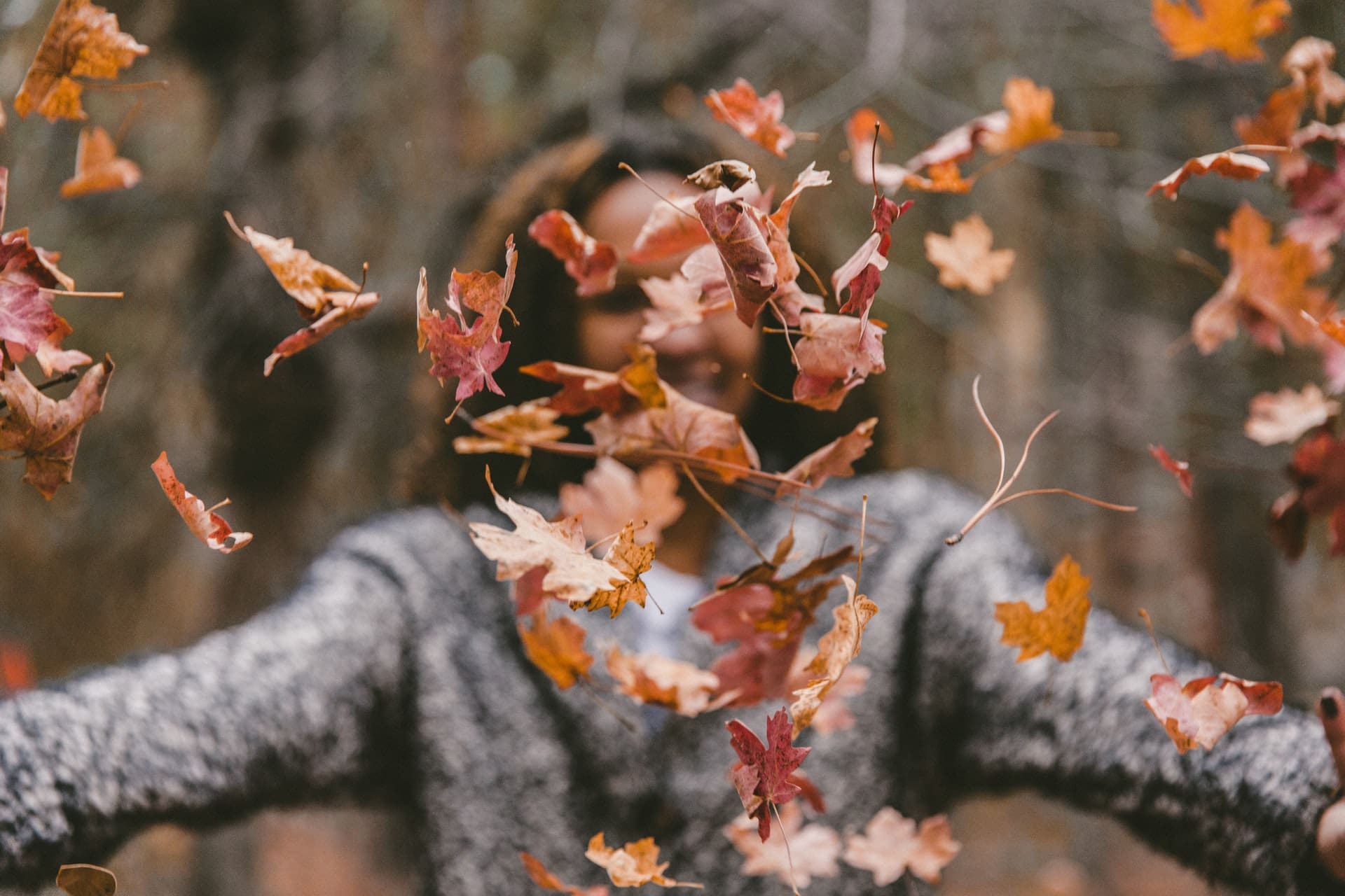 Person tossing autumn leaves in a forest.