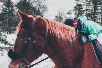 Person riding a horse in a snowy outdoor setting.