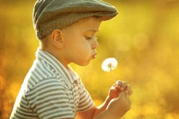 Child in a hat holding a dandelion puffball in a yellow sunshine background