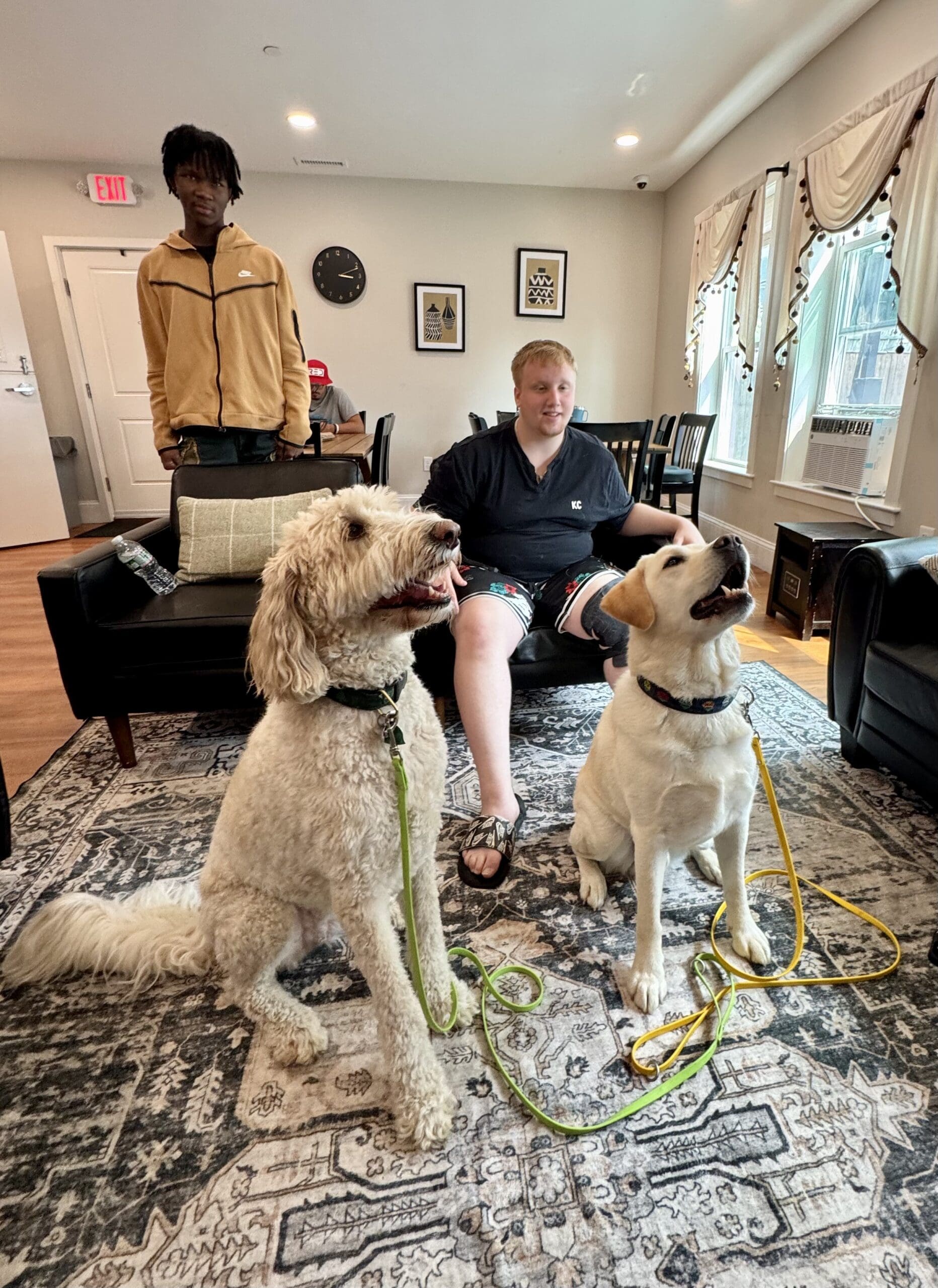 Two dogs sitting on a rug with a person on a couch and two people in the background.