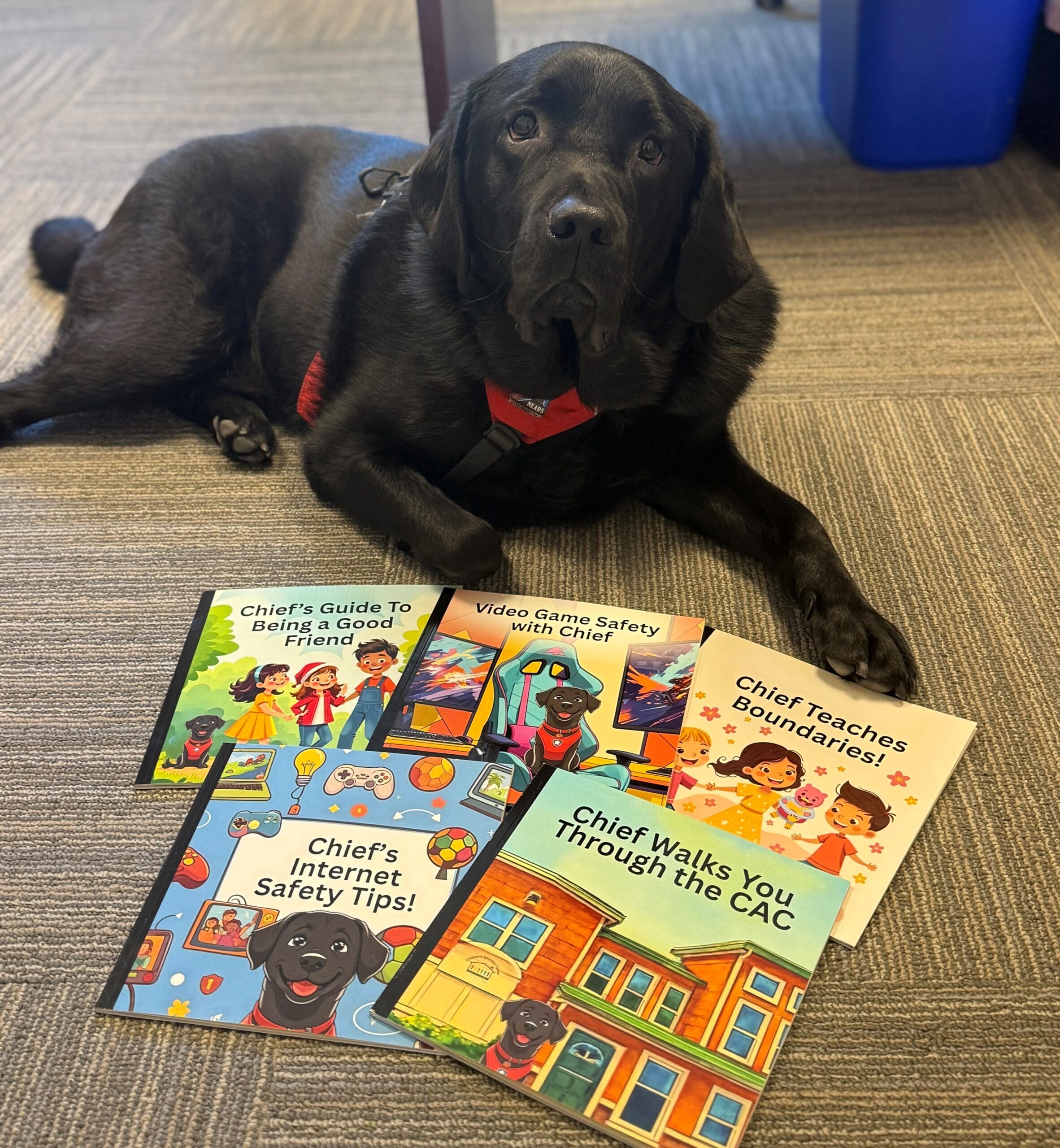 Black dog lying on carpet next to colorful children's books about safety and community.