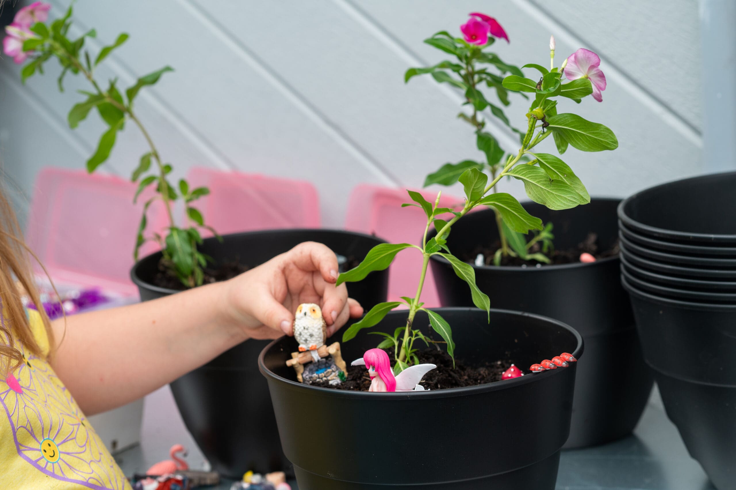 Child's hand holding a small owl figurine next to a potted plant with pink flowers