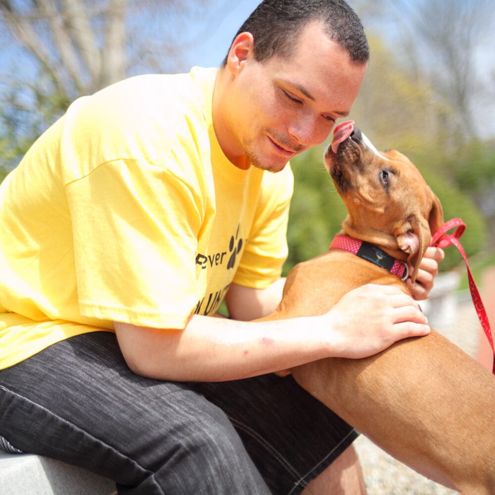Person wearing yellow shirt with a dog outside, interacting closely.