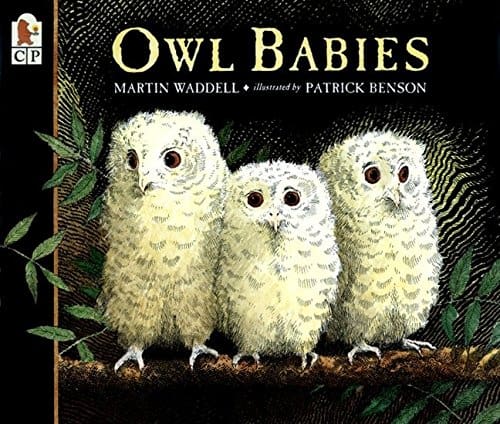Cover of Owl Babies book with three owls on a branch.