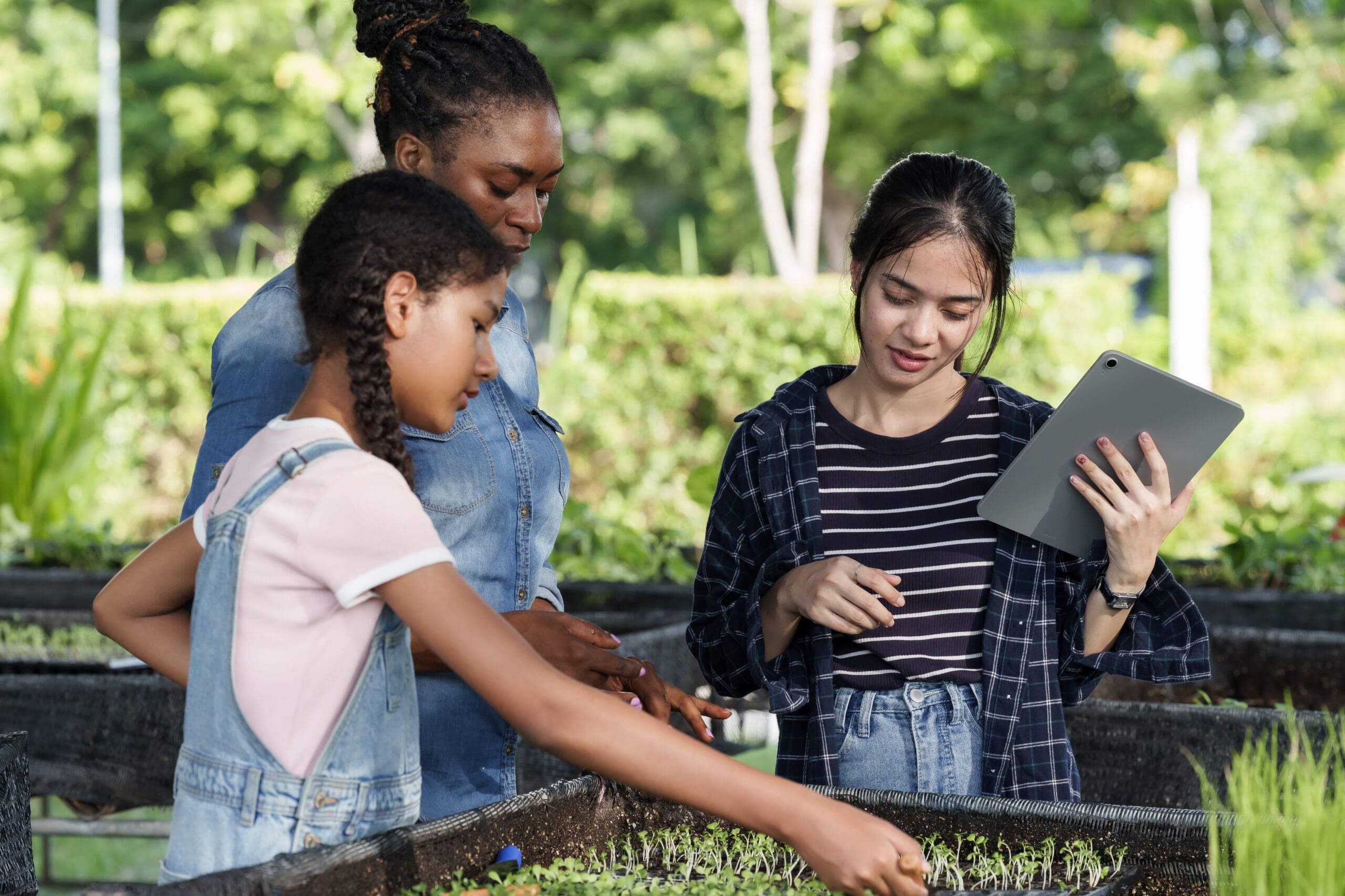 Adult and two teenagers standing by a plant bed outdoors, looking at seedlings.