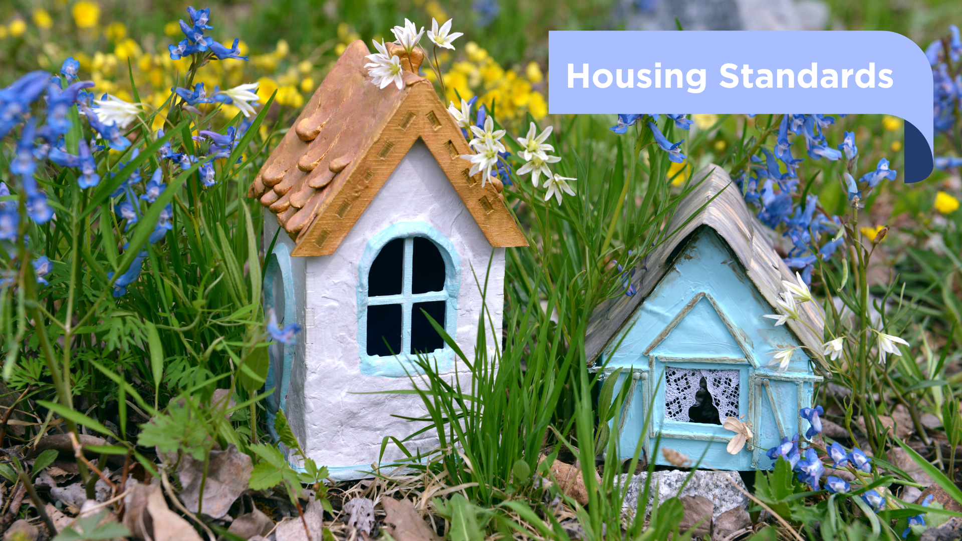 Two small decorative house models among blue and white flowers in a garden.