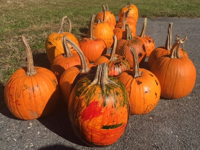 Pumpkins painted with various designs arranged outdoors on pavement.
