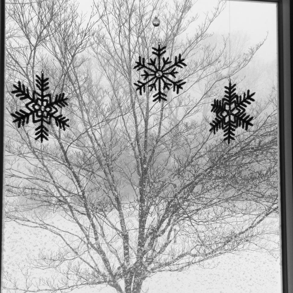 Window with three snowflake decorations and a leafless tree outside